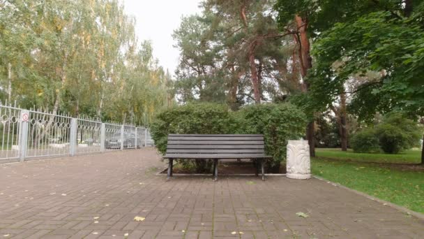 Leere Bank im Park — Stockvideo