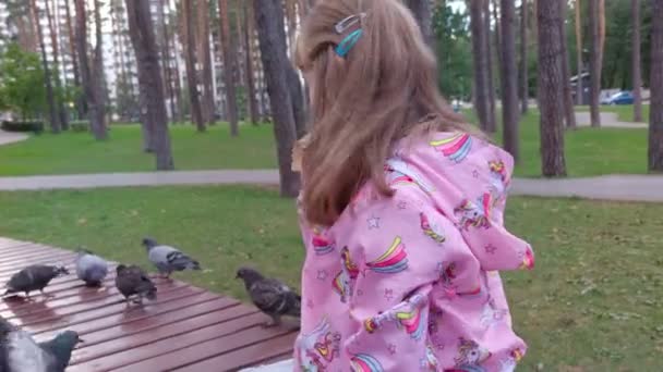 Счастливая девочка и голуби — стоковое видео