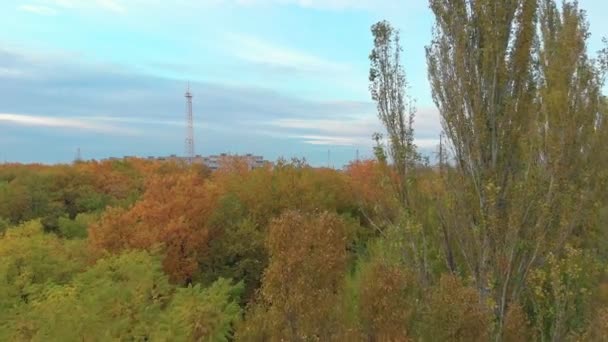 Outono cidade paisagem — Vídeo de Stock