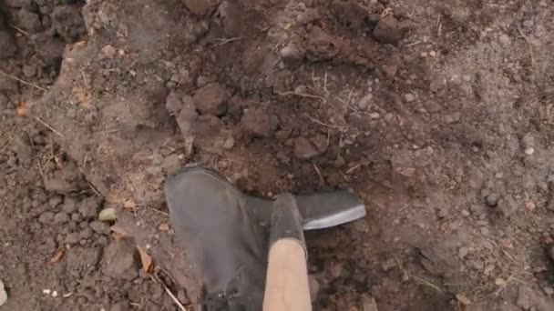 Stevige grond graven — Stockvideo