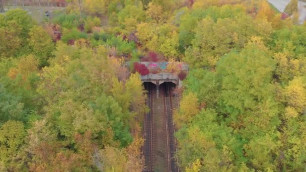 숲 속의 트램 터널 — 비디오