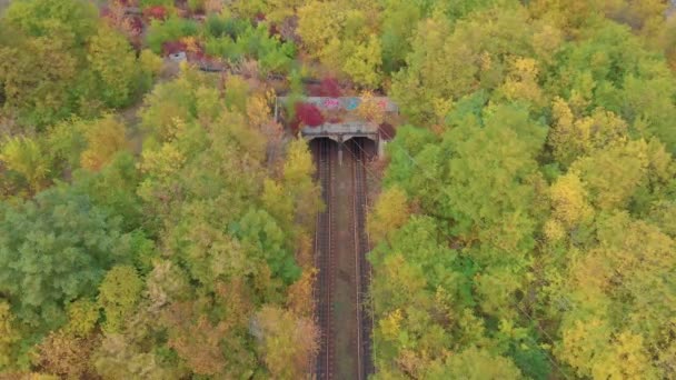 숲 속의 열차 터널 — 비디오