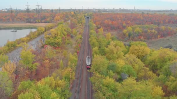 Tramvajové jízdy Podzimní les — Stock video