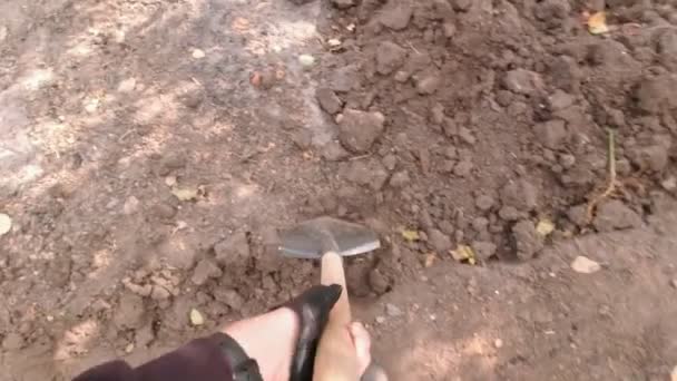 Um homem cava o solo em movimento lento — Vídeo de Stock