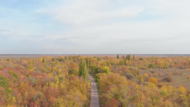 Jesień polna droga — Wideo stockowe