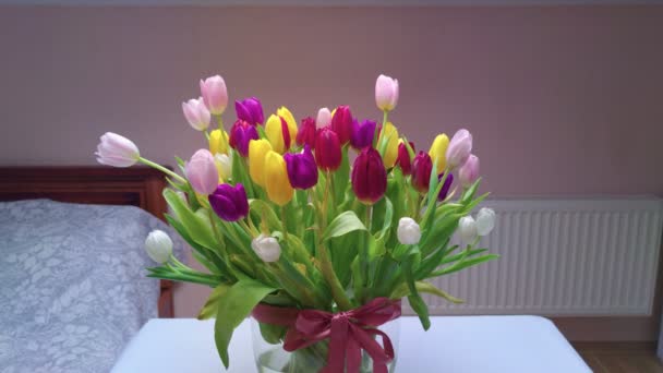 Bouquet Of Tulips Indoors — Stock Video