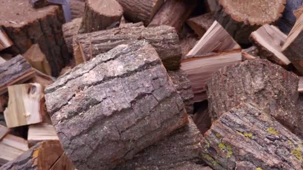 Jongen stapelt brandhout — Stockvideo