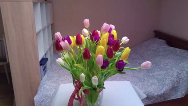 Bukiet tulipanów Wnętrze — Wideo stockowe