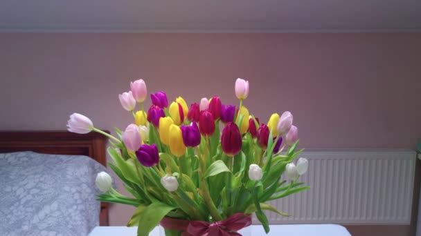 Bouquet di tulipani interni — Video Stock