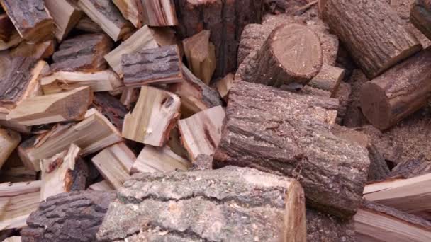 Jongen stapelt brandhout langzame beweging — Stockvideo