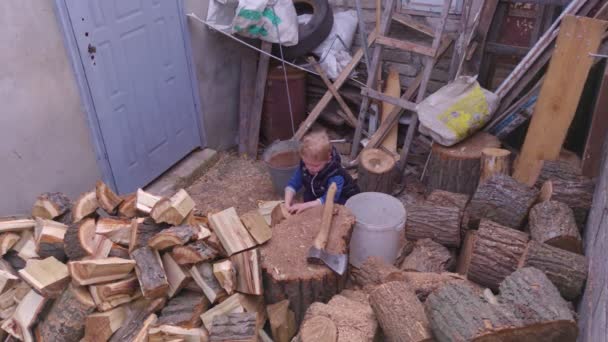 薪を積んだ庭の少年 — ストック動画