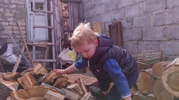 Rapaz sobe a madeira — Vídeo de Stock