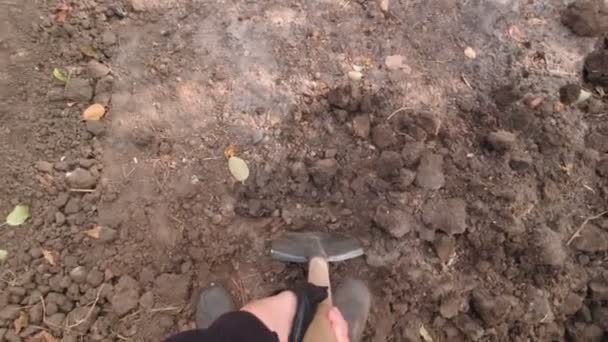 Man Digging A Garden — Stock Video