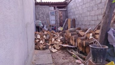 Özel bir evin arka bahçesindeki çocuk.