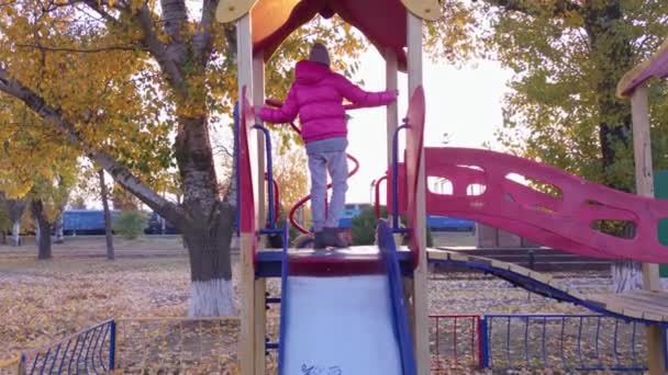 Сім'я в дитячому майданчику повільний рух — стокове відео