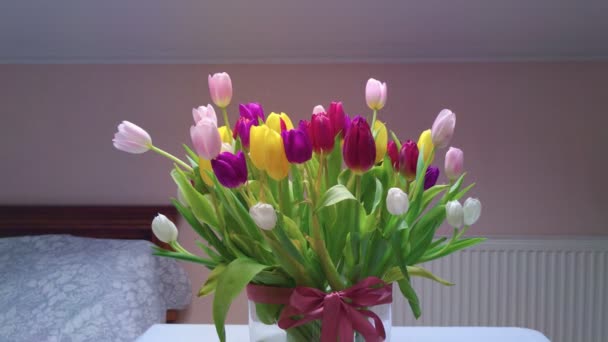 Mnohobarevné tulipány ve váze — Stock video