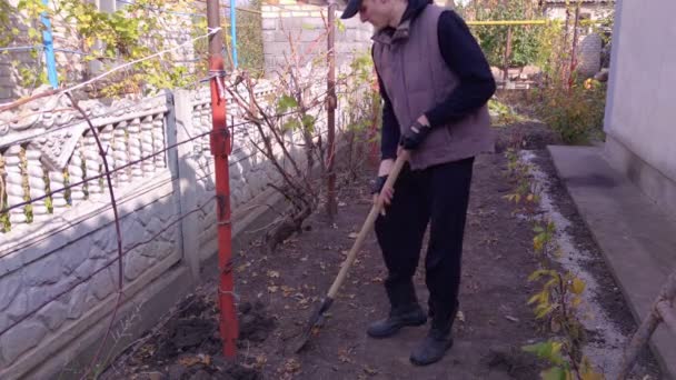 庭を掘る男 — ストック動画