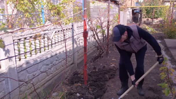 Mann vergräbt sich im Garten — Stockvideo