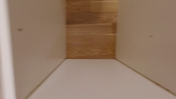 Man Assembling A Cabinet — Stock video