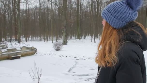 A Woman Walking In A Winter Park — Stock Video
