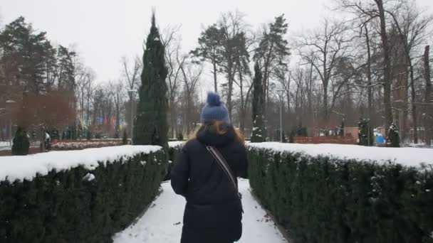 Mujer caminando en el parque en invierno — Vídeos de Stock
