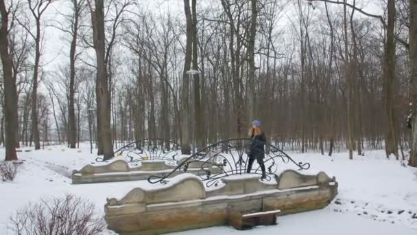 Donna che cammina in un parco invernale — Video Stock