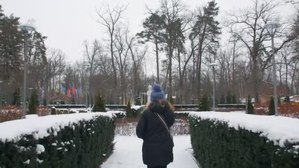 Donna che cammina nel parco invernale — Video Stock