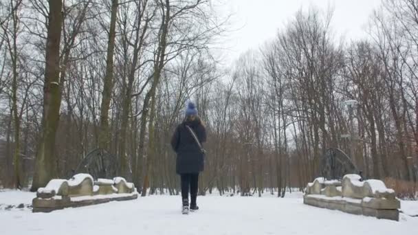 Жінка гуляє в парку — стокове відео
