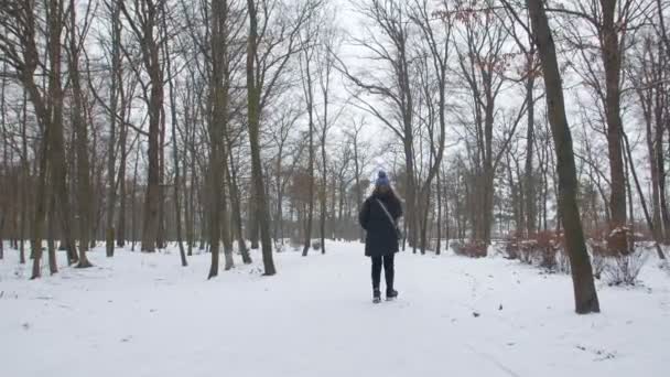 Une femme marche dans le parc d'hiver — Video