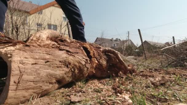 Hombre cortando madera Primer plano — Vídeos de Stock
