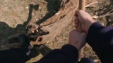 Yaşlı Ahşap Kesen Adam Ağır Çekim