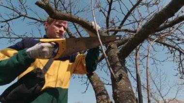 Ağaç Dalını Kesen Adam Yavaş Hareket