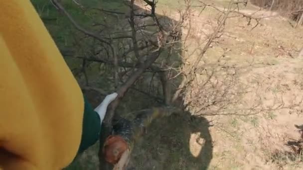 Un homme traînant un arbre au ralenti — Video