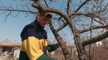 Ağaç Kesen Adam Yavaş Hareketi