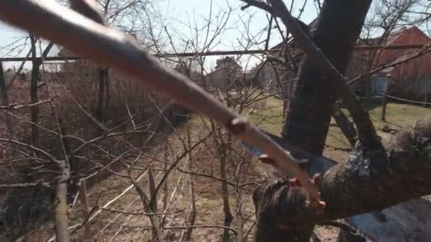 Man Sawing A Branch POV Slow Motion — Stockvideo