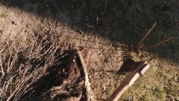 砍倒一棵树 — 图库视频影像