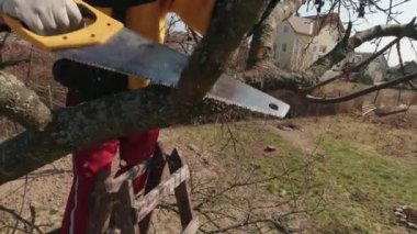 Bir adam ağaç dalını kesti.