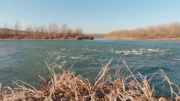 Bifurcation Of The River — Stockvideo