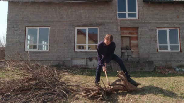 Man Cutting An Old Log Slow Motion — Stock Video