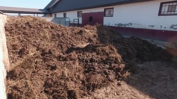 Manure On The Farm — Stock Video
