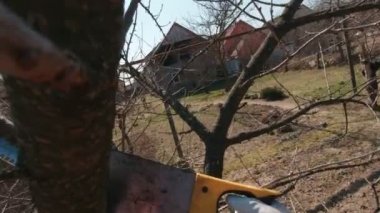A Man Saws A Branch Slow Motion