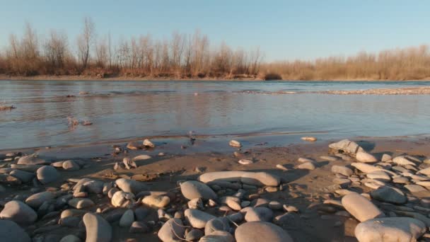 Stenen op de oever van de rivier — Stockvideo