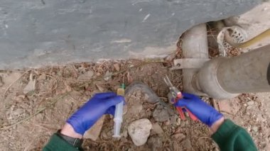 Yabani otların Yavaş Hareketle Kaldırılması