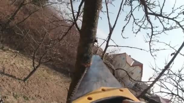Um homem serra um ramo de árvore — Vídeo de Stock