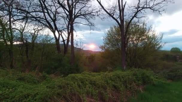 Solnedgång i skogen över bergen — Stockvideo