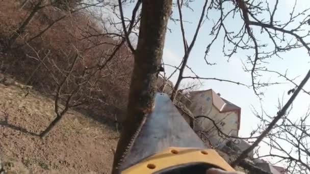 El hombre sierra una rama de árbol en cámara lenta — Vídeos de Stock