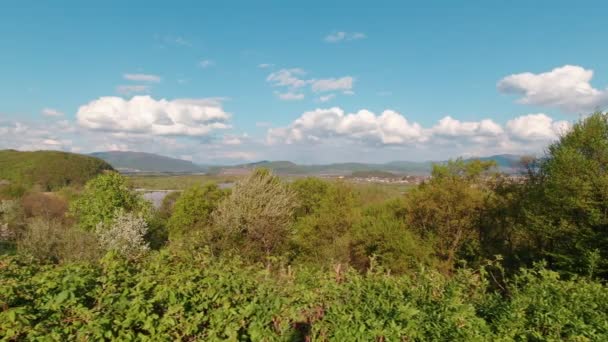 Dağlar Orman Nehri ve Şehir Yavaş Hareketi — Stok video