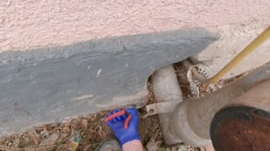 Bitki Kökleri Kaldırılıyor Yavaş Hareket