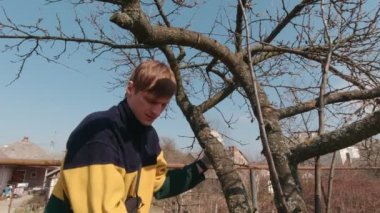 Adam bir ağaç kesme tezgahlar