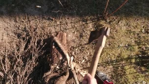 Couper un arbre avec un mouvement lent Ax — Video